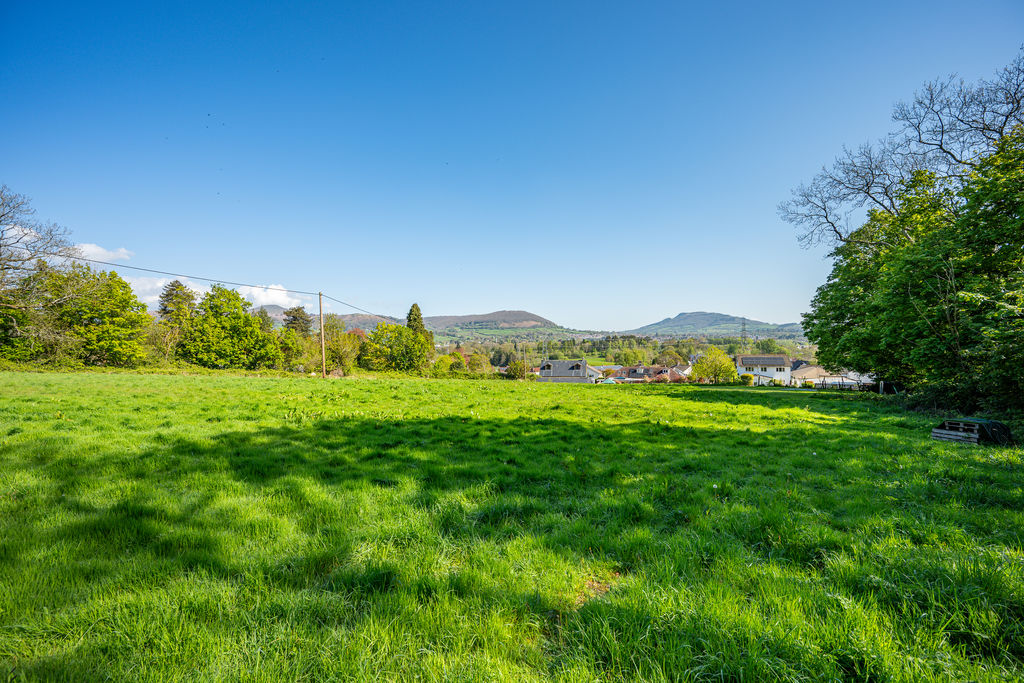 Field/Pasture Land - click for photo gallery